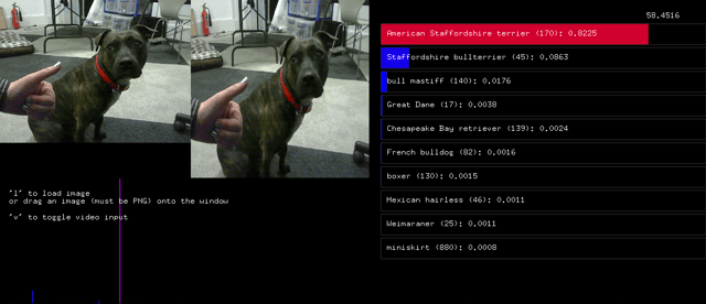 Image classification